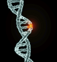 DNA Image 02