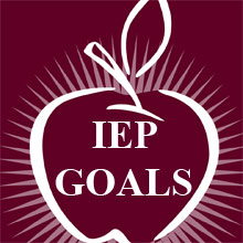 NASET IEP Maroon