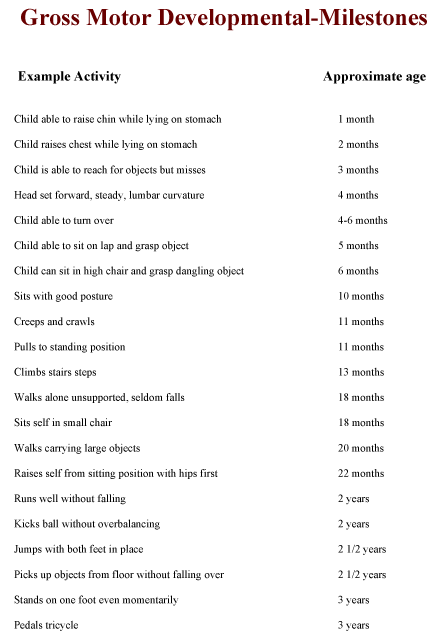 gross motor development