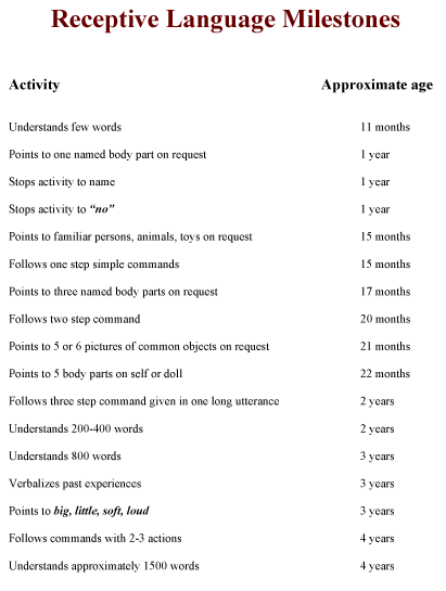 receptive language mile