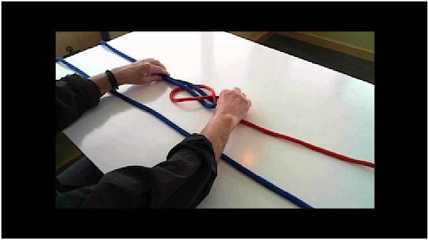 csm knot theory 25402926af
