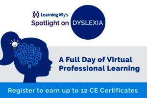 csm Learning Ally