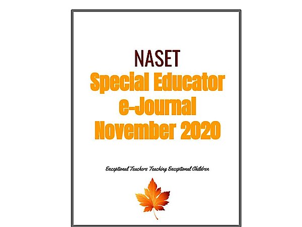 csm November 2020 e Journal 6b28f89aef