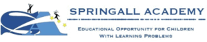 Springall Academy Springall Academy